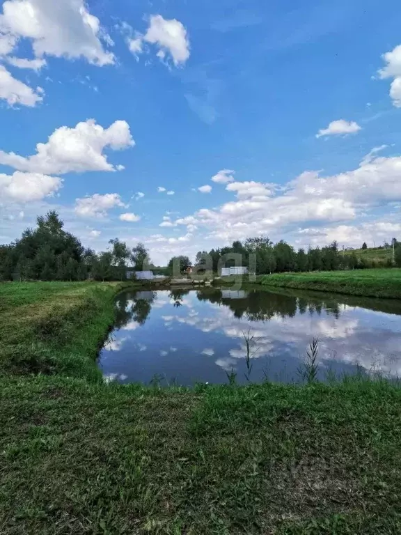 Участок в Алтайский край, Белокуриха Раздольная ул. (50.2 сот.) - Фото 0