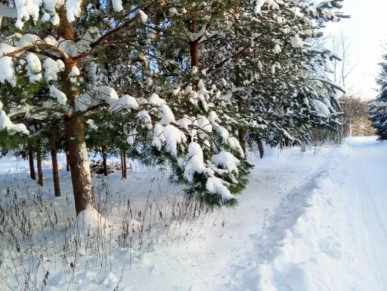 Участок в Московская область, Чехов  (10.0 сот.) - Фото 1