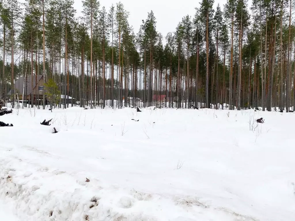 Участок в посёлок городского типа Краснозатонский, Линейная улица ... - Фото 1