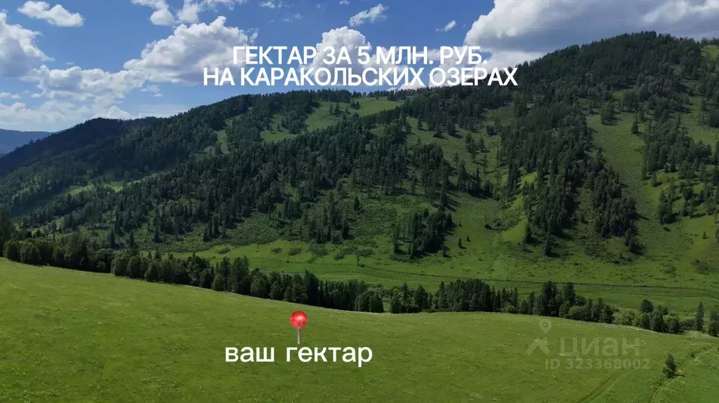 Участок в Алтай, Чемальский район, Элекмонарское с/пос  (1.0 сот.) - Фото 2