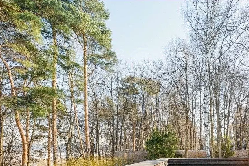 Участок в Московская область, Одинцовский городской округ, Речной кп ... - Фото 1