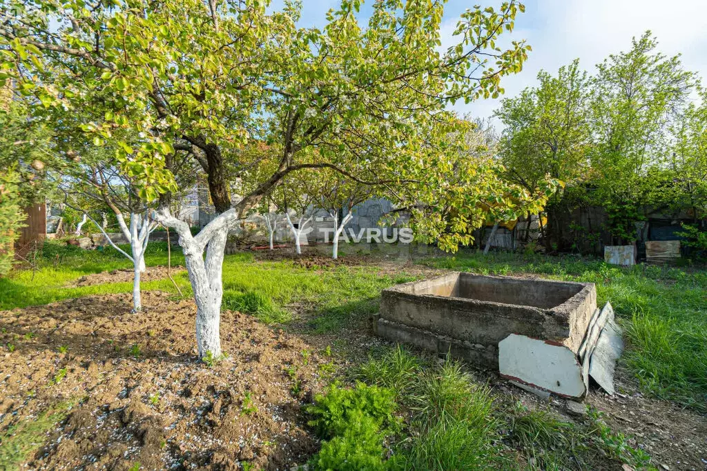 Участок в Севастополь, садоводческое товарищество Берёзка, 53 (4.45 м) - Фото 1