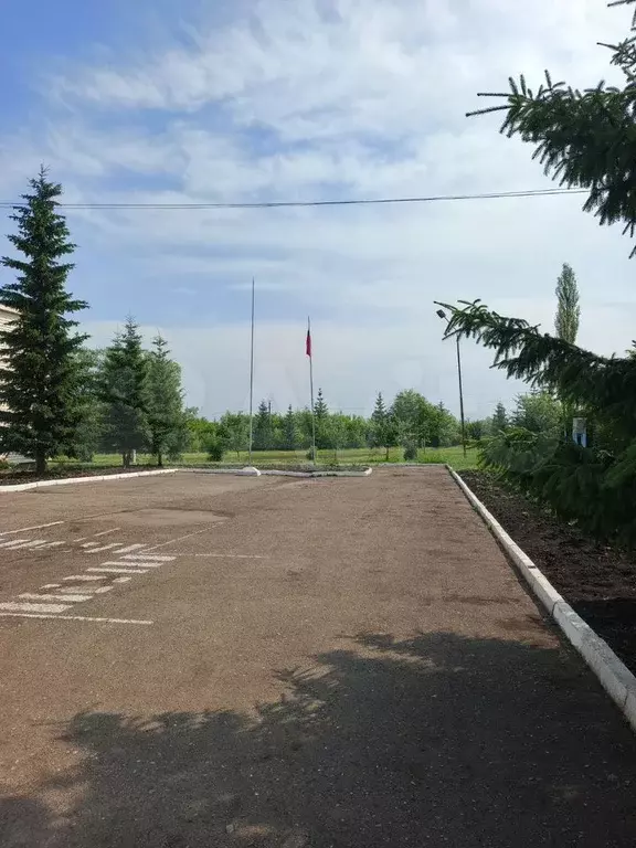 Участок 12 сот. (ИЖС) - Фото 0