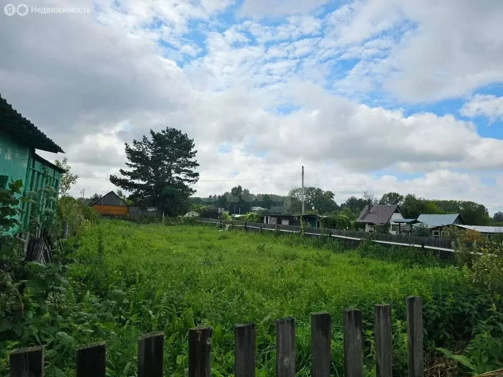 Участок в Новосибирск, СНТ Озёрное (4.6 м) - Фото 1