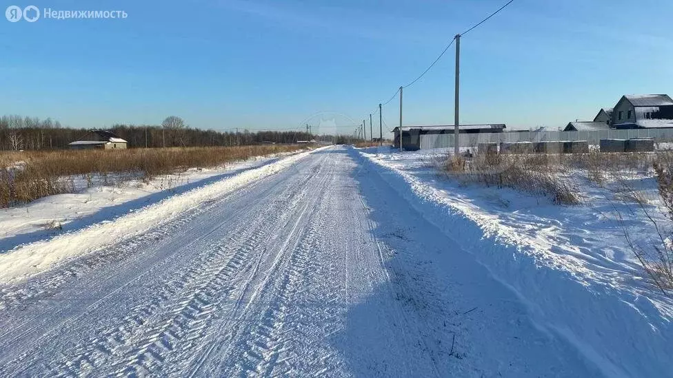 Участок в Тюменский район, село Борки (15 м) - Фото 0