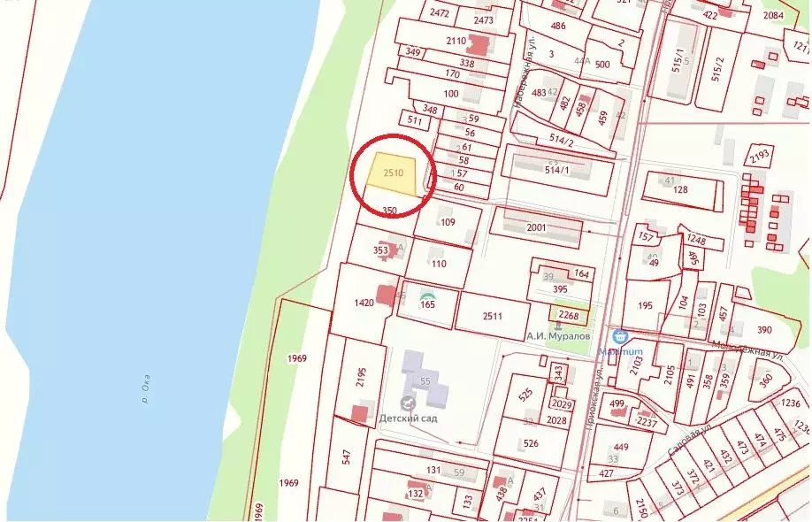 Участок в Тульская область, Алексин городской округ, с. Бунырево  (9.5 ... - Фото 1