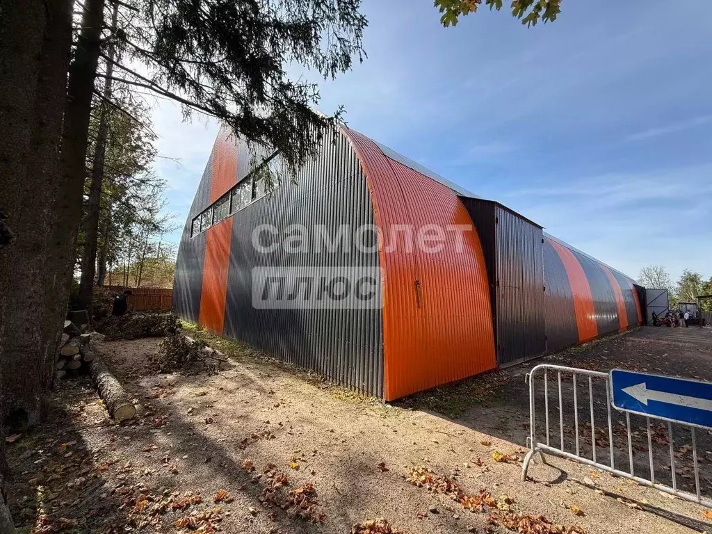 Помещение свободного назначения в Московская область, Раменский ... - Фото 2