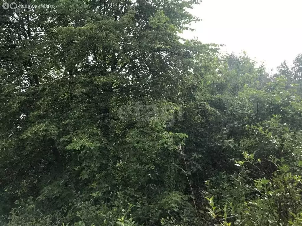 Участок в Станционный сельсовет, товарищество собственников ... - Фото 2