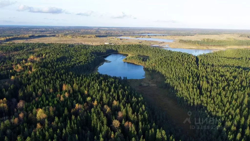 Участок в Ленинградская область, Выборгский район, Первомайское с/пос, ... - Фото 2