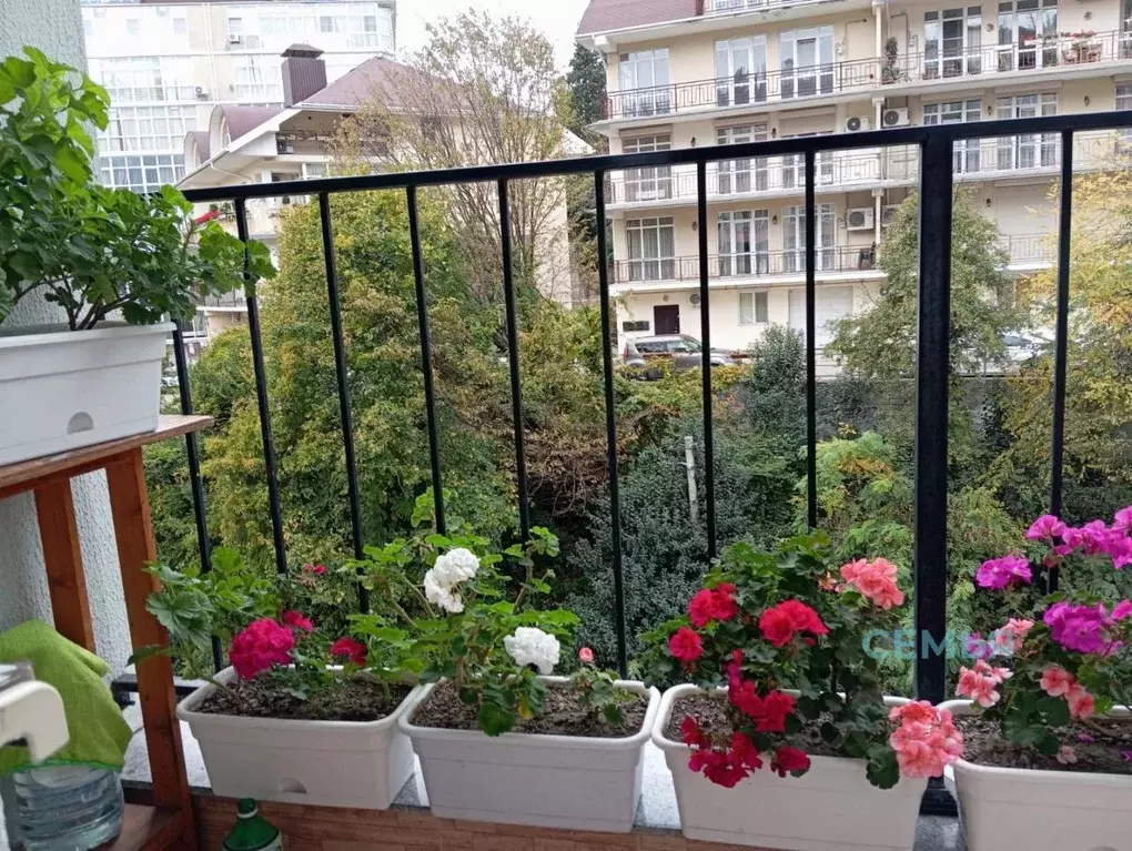 1-к кв. Краснодарский край, Сочи Сухумское ш., 22Б (32.0 м) - Фото 1