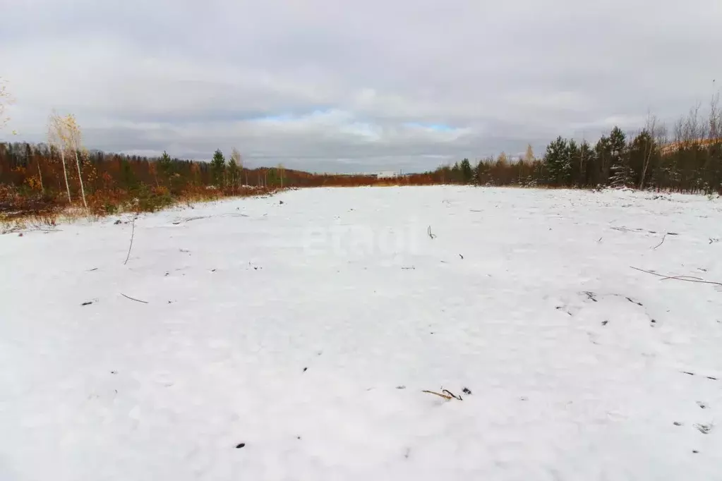 Участок в Свердловская область, Горноуральский городской округ, с. ... - Фото 0