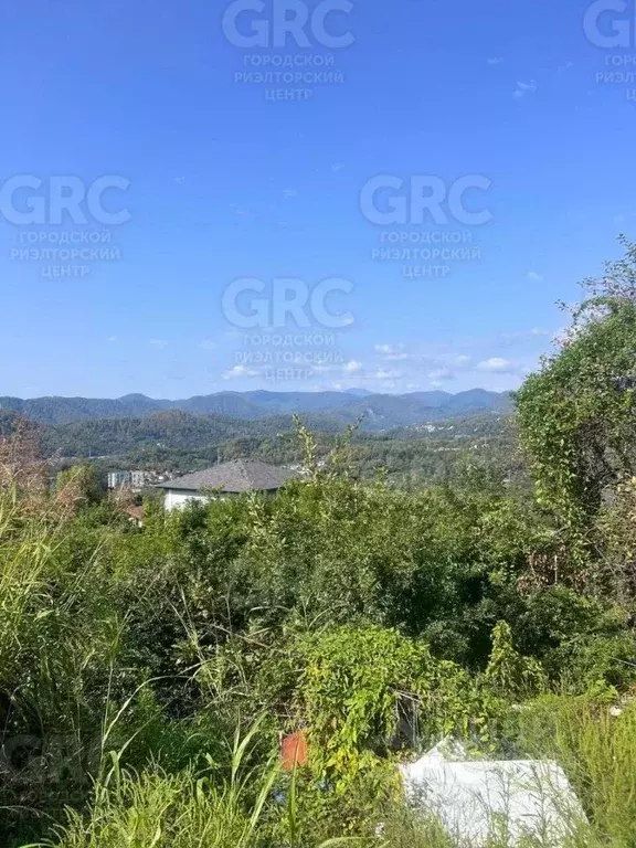 Участок в Краснодарский край, Сочи Чаевод СНТ, ул. Больничная (4.34 ... - Фото 1