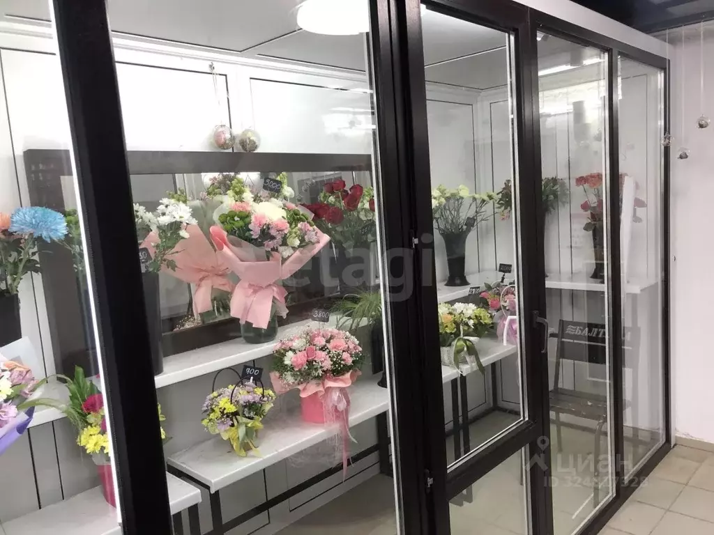 Помещение свободного назначения в Тамбовская область, Тамбов ул. ... - Фото 1