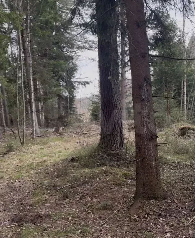 Участок 7,8 сот. (ИЖС) - Фото 0