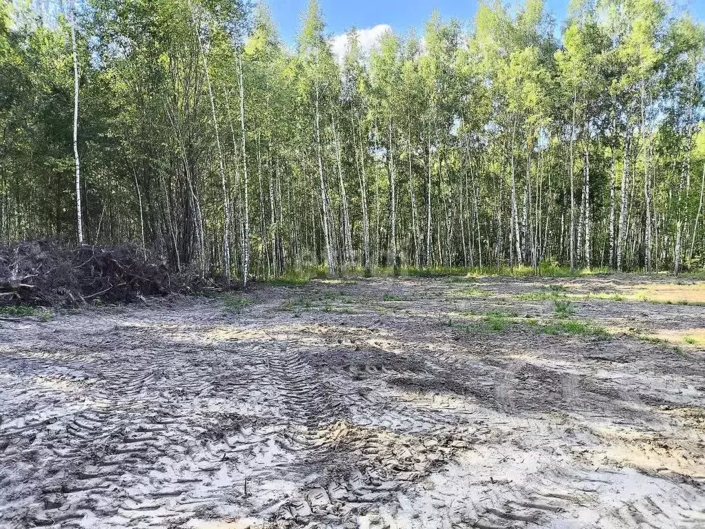 Участок в Нижегородская область, Кстовский муниципальный округ, с. ... - Фото 1