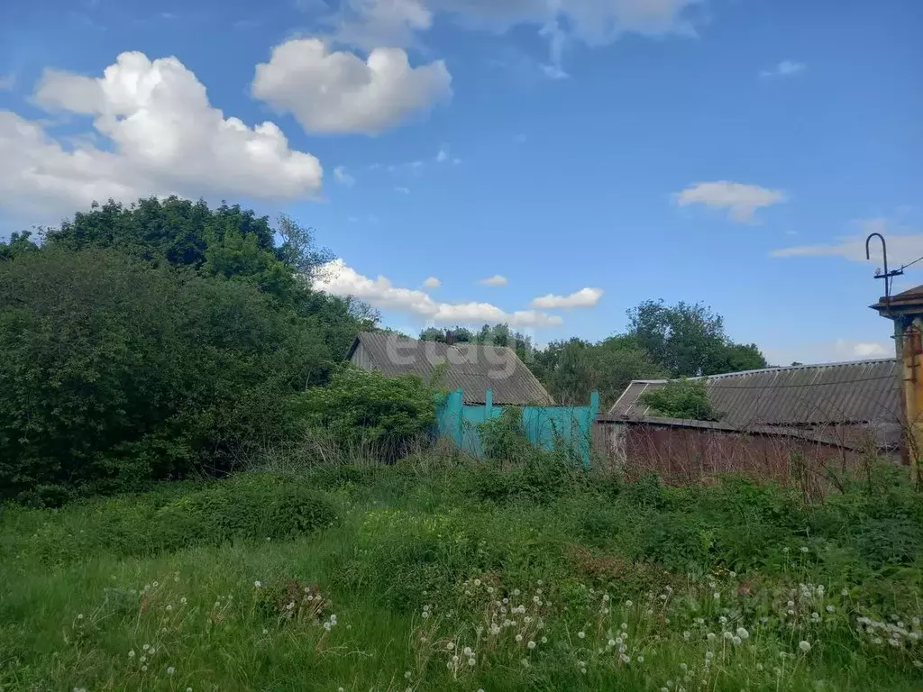 Дом в Белгородская область, Губкинский городской округ, с. Истобное ... - Фото 1