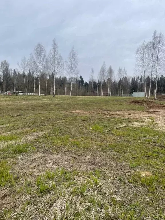 Участок в Московская область, Шаховская муниципальный округ, д. ... - Фото 2