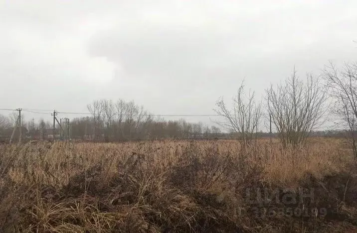 Участок в Московская область, Дмитровский муниципальный округ, с. ... - Фото 1