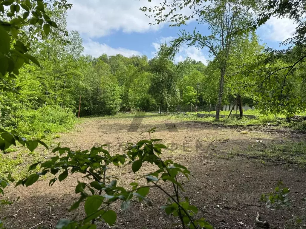 Участок в Краснодарский край, Туапсинский муниципальный округ, с. ... - Фото 1