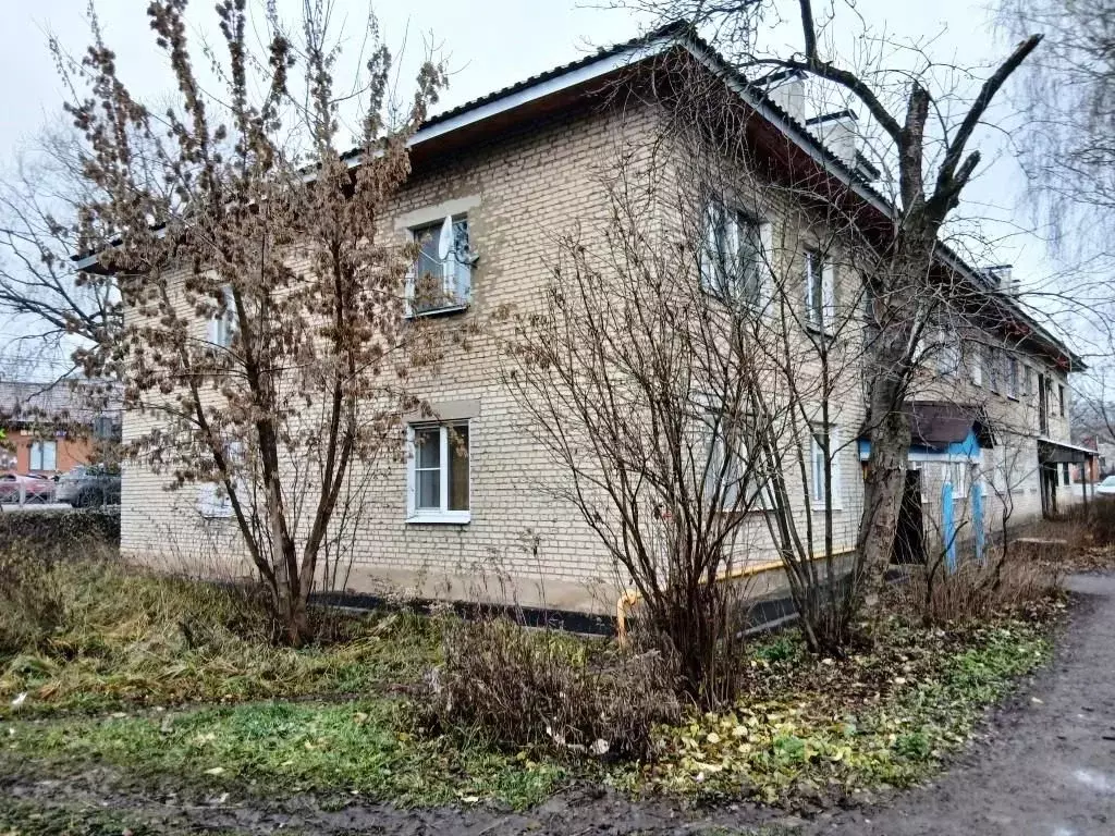 1-к кв. Владимирская область, Киржач Привокзальная ул., 11 (30.0 м) - Фото 2