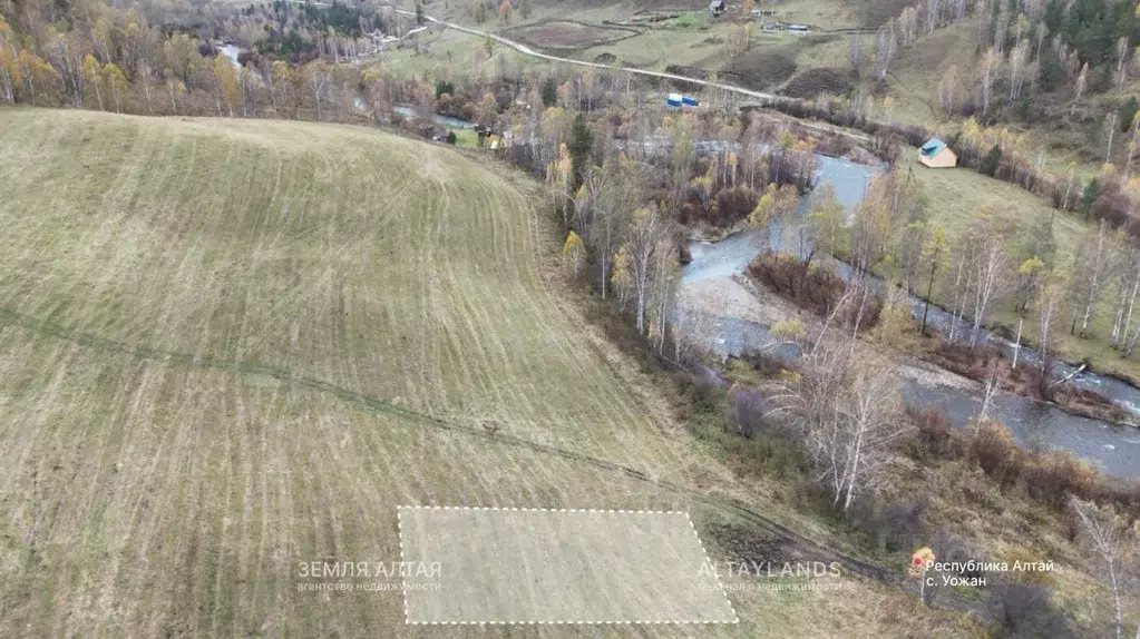 Участок в Алтай, Чемальский район, Чемальское с/пос  (35.0 сот.) - Фото 2