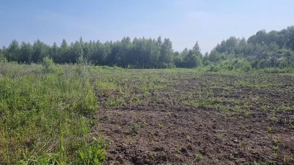 Участок в Владимирская область, Суздальский район, Боголюбовское ... - Фото 1