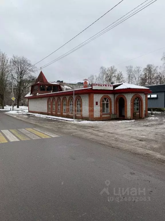 Торговая площадь в Ленинградская область, Всеволожский район, Имени ... - Фото 1