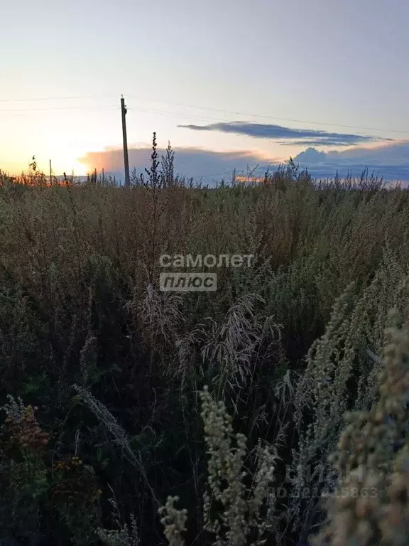 Участок в Челябинская область, Челябинск ул. Плодородная (9.0 сот.) - Фото 2