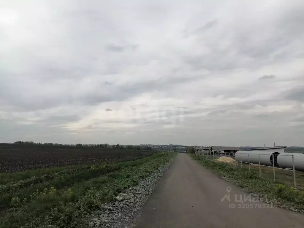 Участок в Белгородская область, Белгородский район, Головинское с/пос, ... - Фото 1