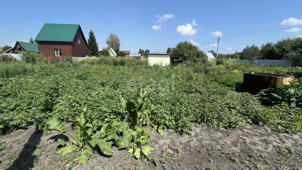 Участок в Новосибирская область, Искитимский район, Чернореченский ... - Фото 1