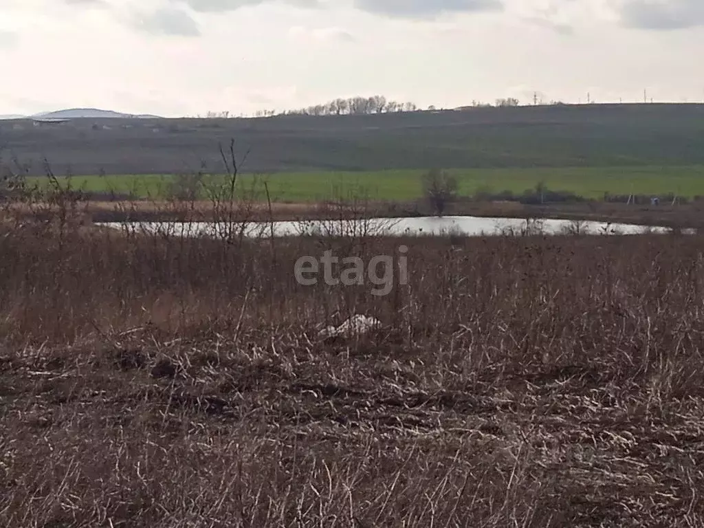 Дом в Краснодарский край, Новороссийск муниципальное образование, ... - Фото 1