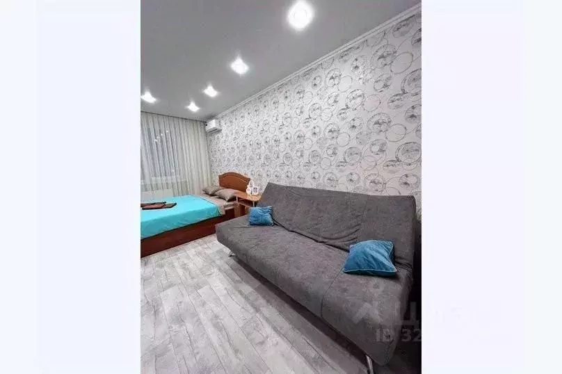 1-к кв. Пензенская область, Пензенский район, Засечный сельсовет, с. ... - Фото 2