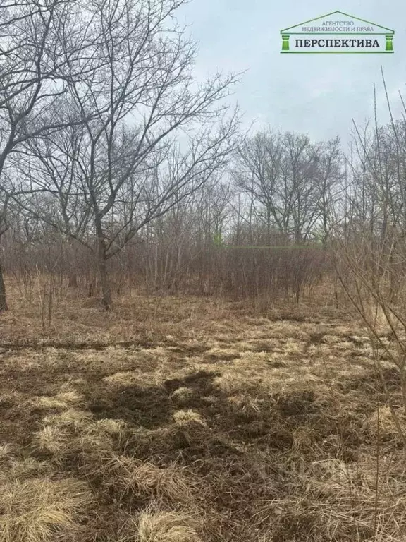 Участок в Приморский край, Артемовский городской округ, с. Ясное ул. ... - Фото 2