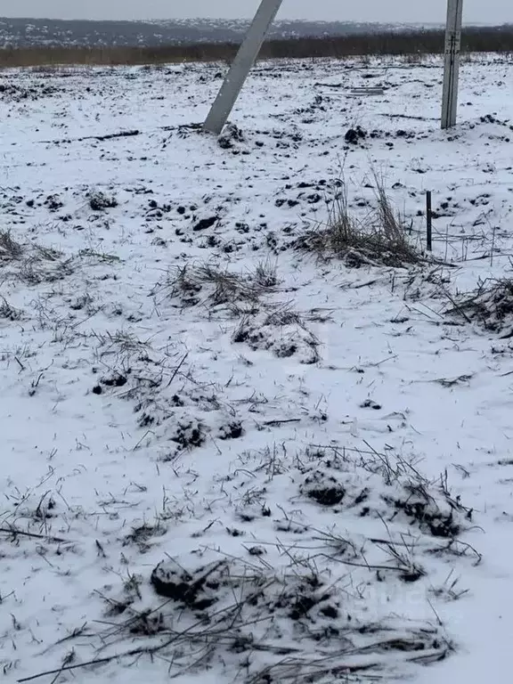 Участок в Белгородская область, Белгородский район, Головинское с/пос, ... - Фото 1