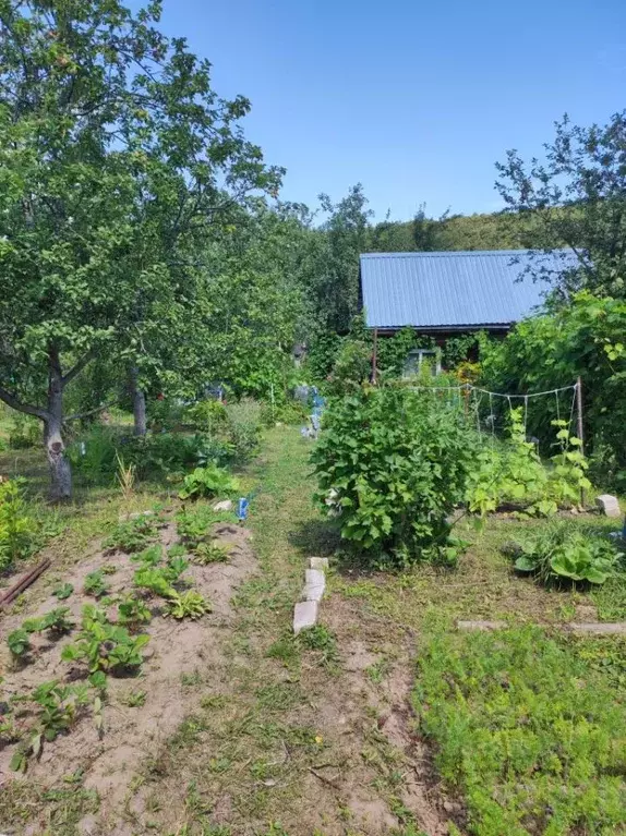 Дом в Нижегородская область, Нижний Новгород Дубрава СНТ,  (15 м) - Фото 1