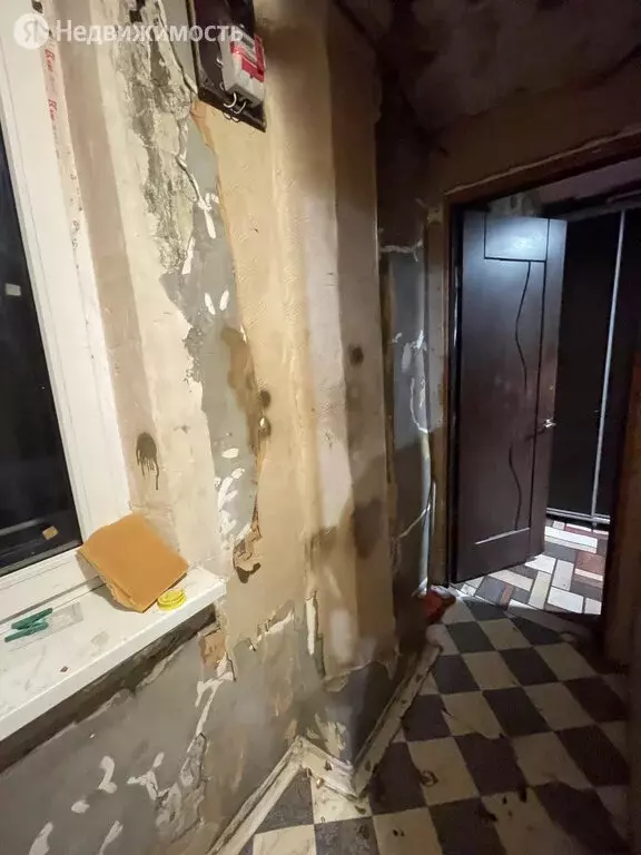 1-комнатная квартира: Ставрополь, проспект Карла Маркса, 88 (25.8 м) - Фото 0