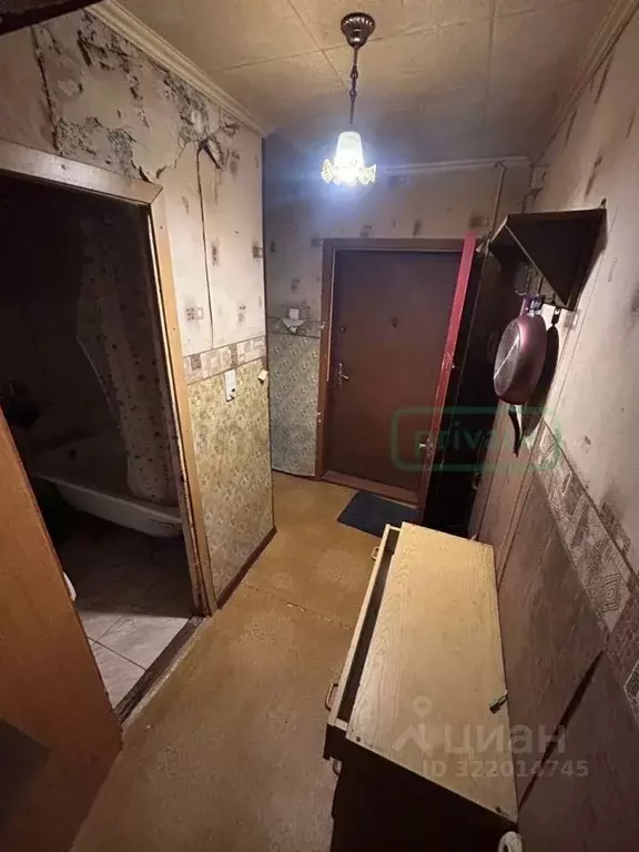 1-к кв. Калининградская область, Балтийск ул. Ушакова, 29 (31.2 м) - Фото 2