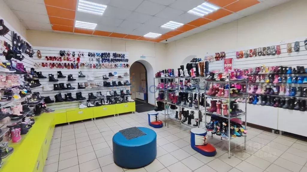 Торговая площадь в Нижегородская область, Бор Профсоюзная ул. (169 м) - Фото 2