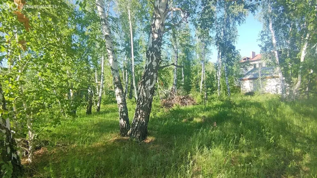 участок в село кетово, садоводческое некоммерческое товарищество южный . - Фото 0