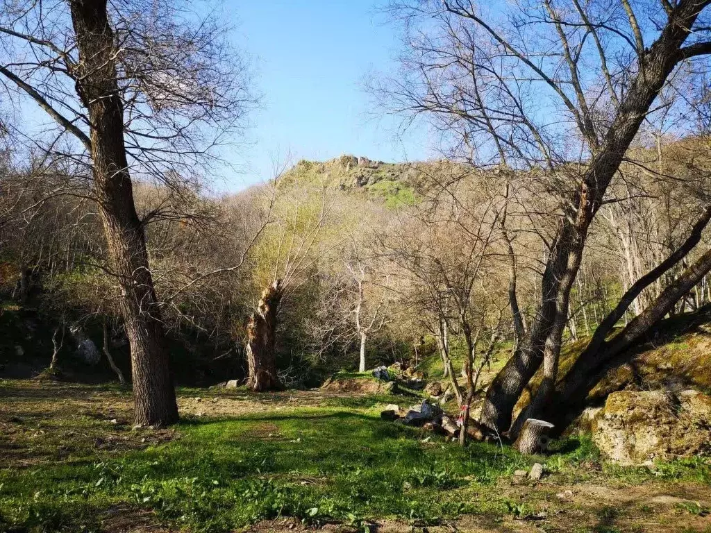 Участок в Крым, Алушта муниципальный округ, с. Лучистое  (58.0 сот.) - Фото 0