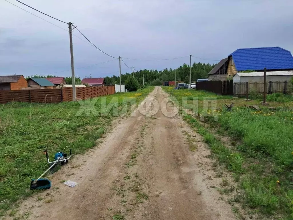Участок в Новосибирская область, Коченевский район, Тальник СНТ  (10.5 ... - Фото 0