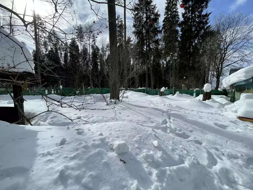 Дом в Московская область, Щелково городской округ, Старт СНТ  (48 м) - Фото 0