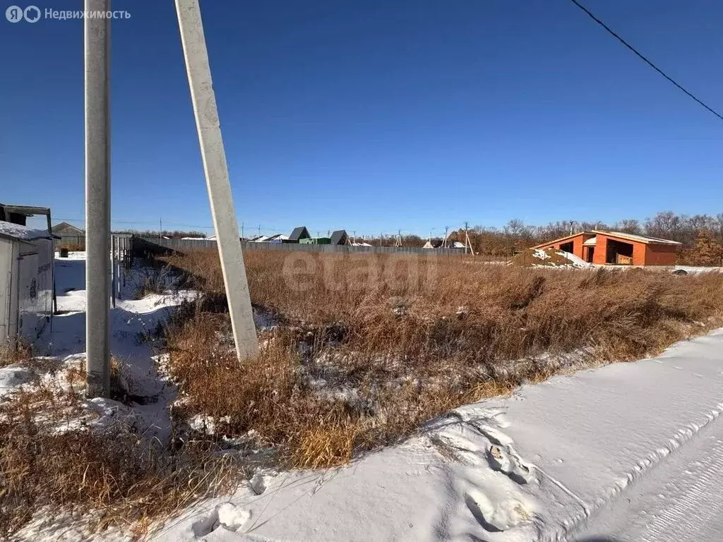 Участок в Амурская область, Благовещенский муниципальный округ, село ... - Фото 2