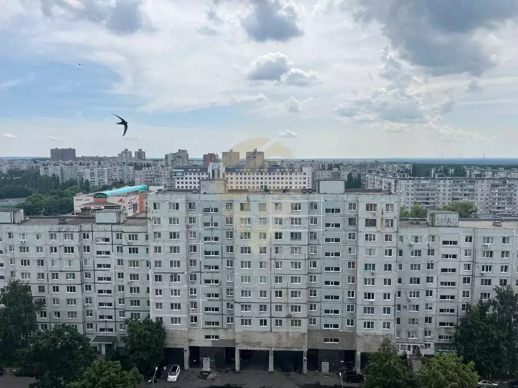 1-к кв. Белгородская область, Старый Оскол Жукова мкр, 53 (34.4 м) - Фото 0