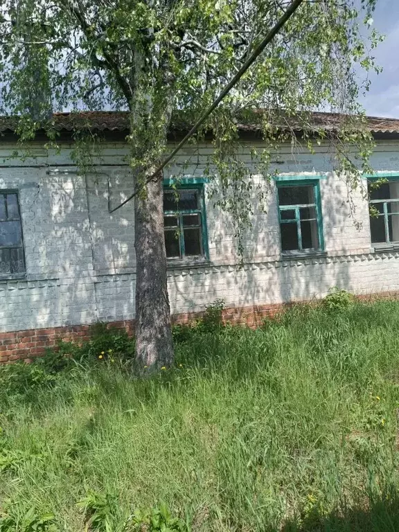 Дом в Липецкая область, Хлевенский муниципальный округ, с. Старое ... - Фото 2