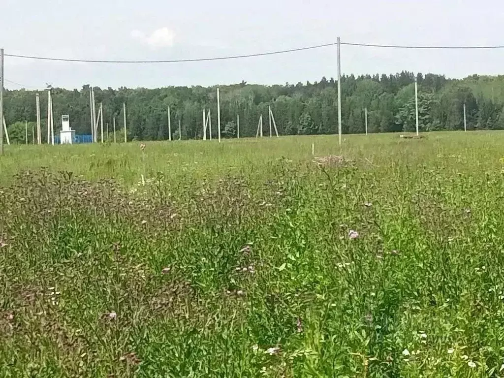 Участок в Татарстан, Нижнекамский район, Майскогорское с/пос, д. ... - Фото 1
