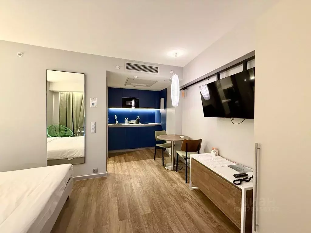 1-к кв. Краснодарский край, Сочи городской округ, Дагомыс пгт ул. ... - Фото 2