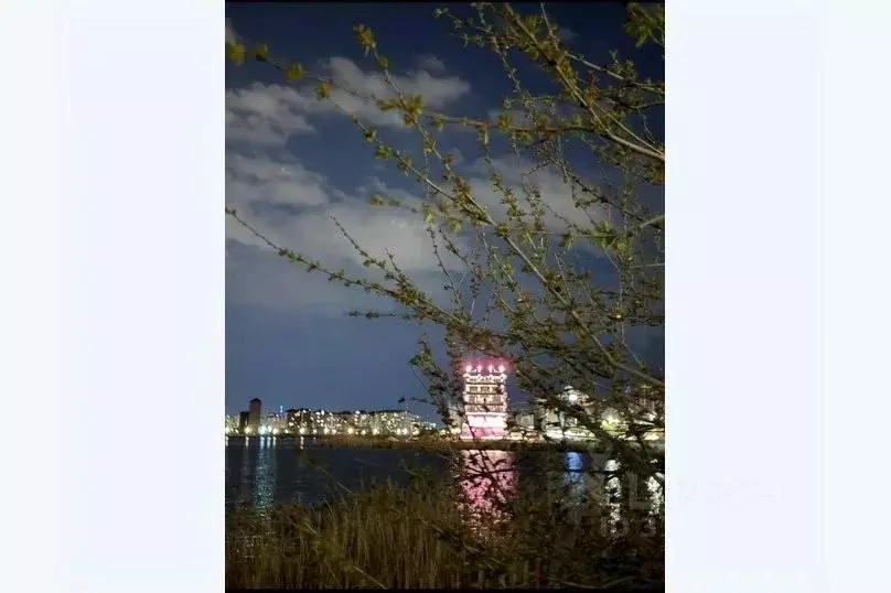 2-к кв. Дагестан, Махачкала ул. Габитова, 8 (40.0 м) - Фото 0