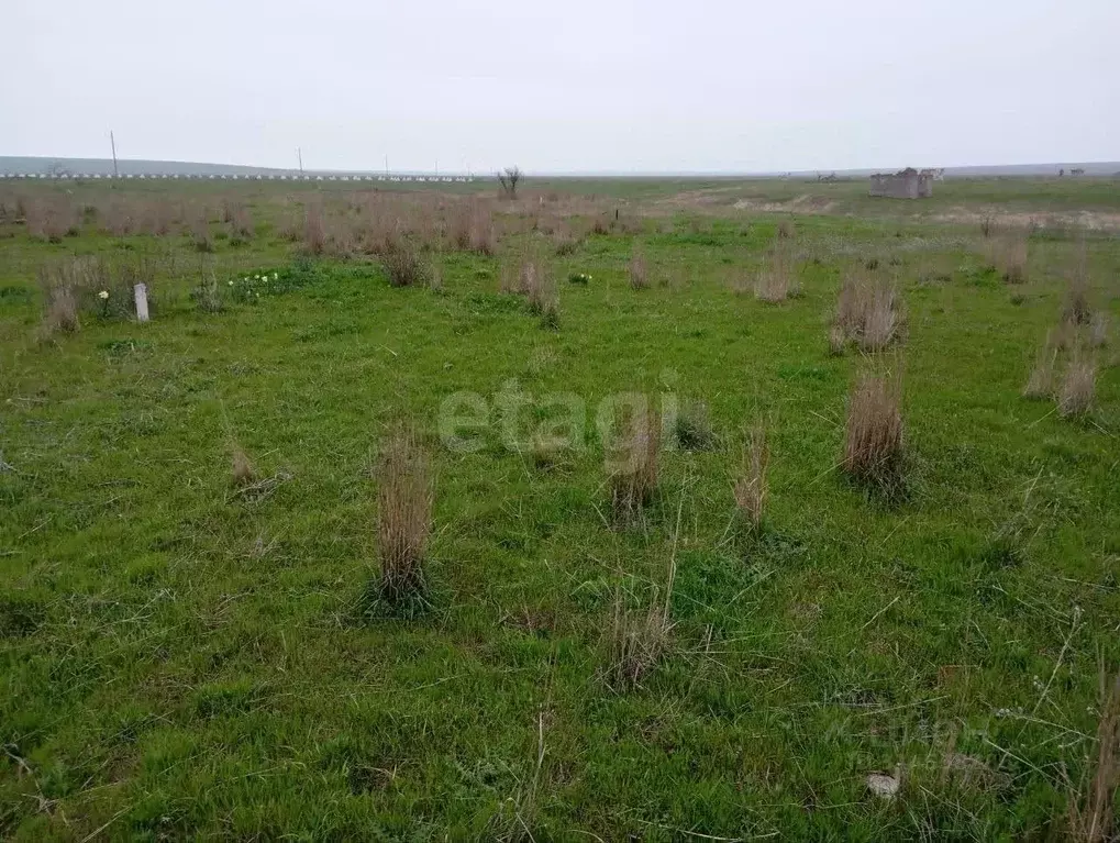 Участок в Крым, Ленинский район, Батальненское с/пос, Нептун СНТ  (8.0 ... - Фото 1