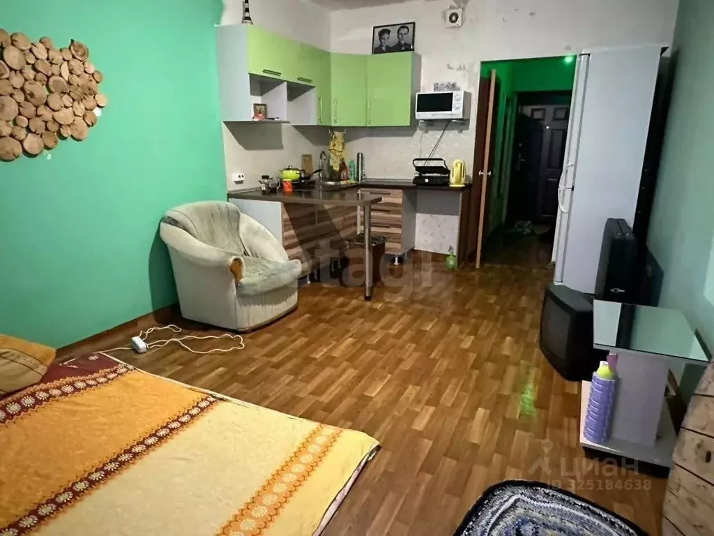 Студия Красноярский край, Красноярск ул. Карамзина, 14 (27.0 м) - Фото 1